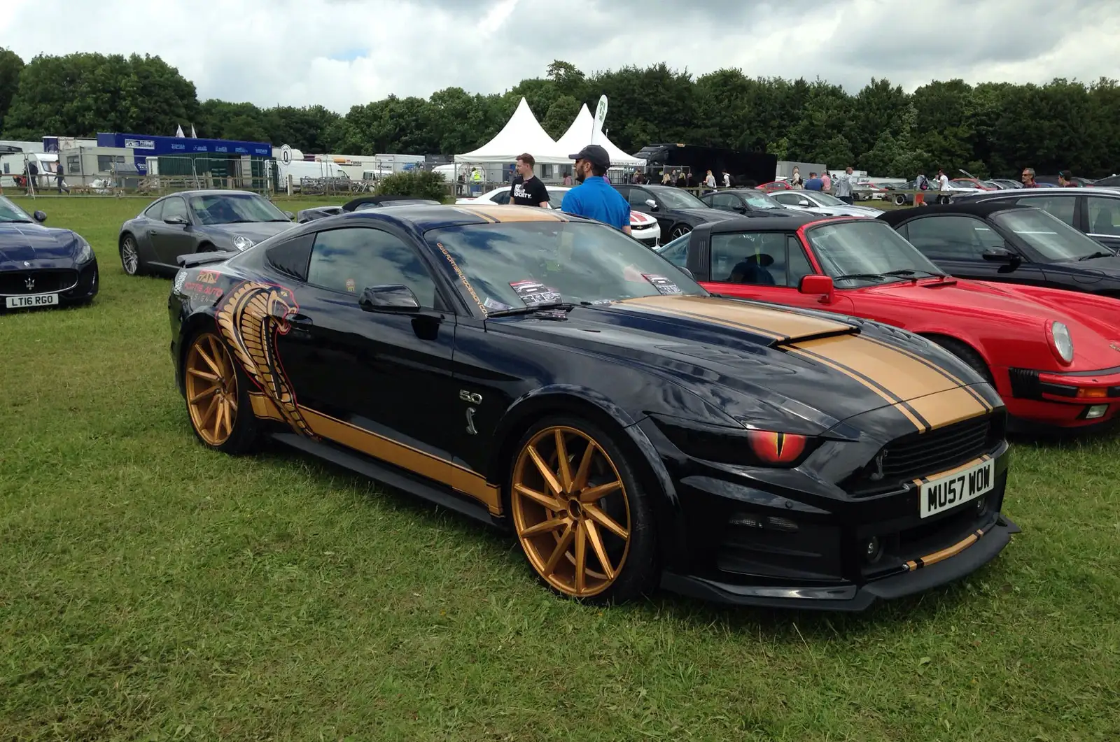 Stang