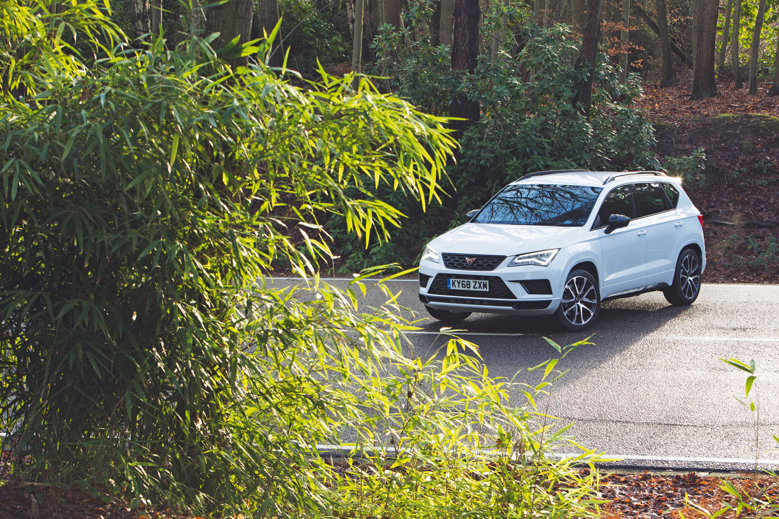 Cupra Ateca 2019 road test review - static