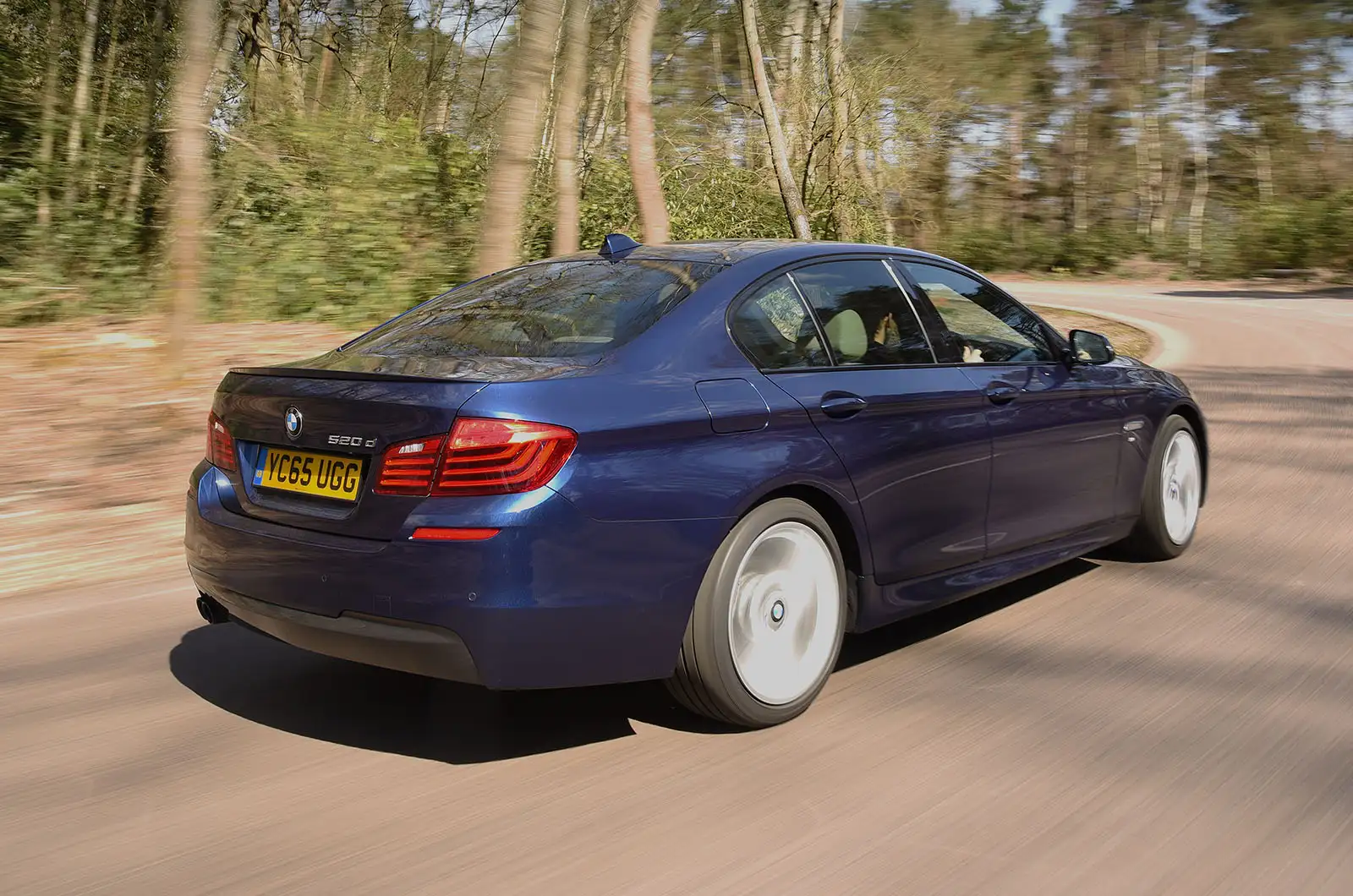 BMW 5 Series rear