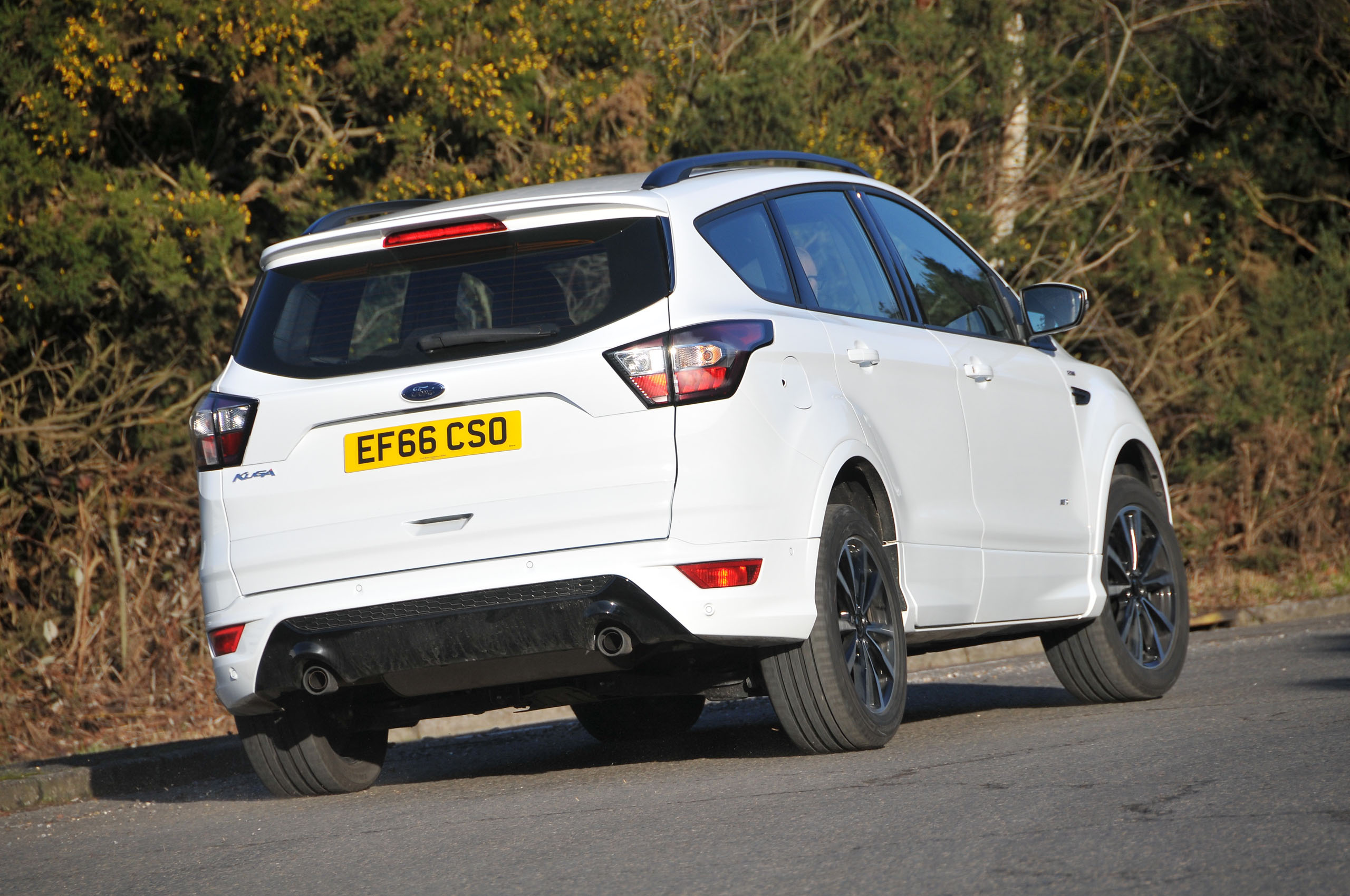 Ford Kuga rear