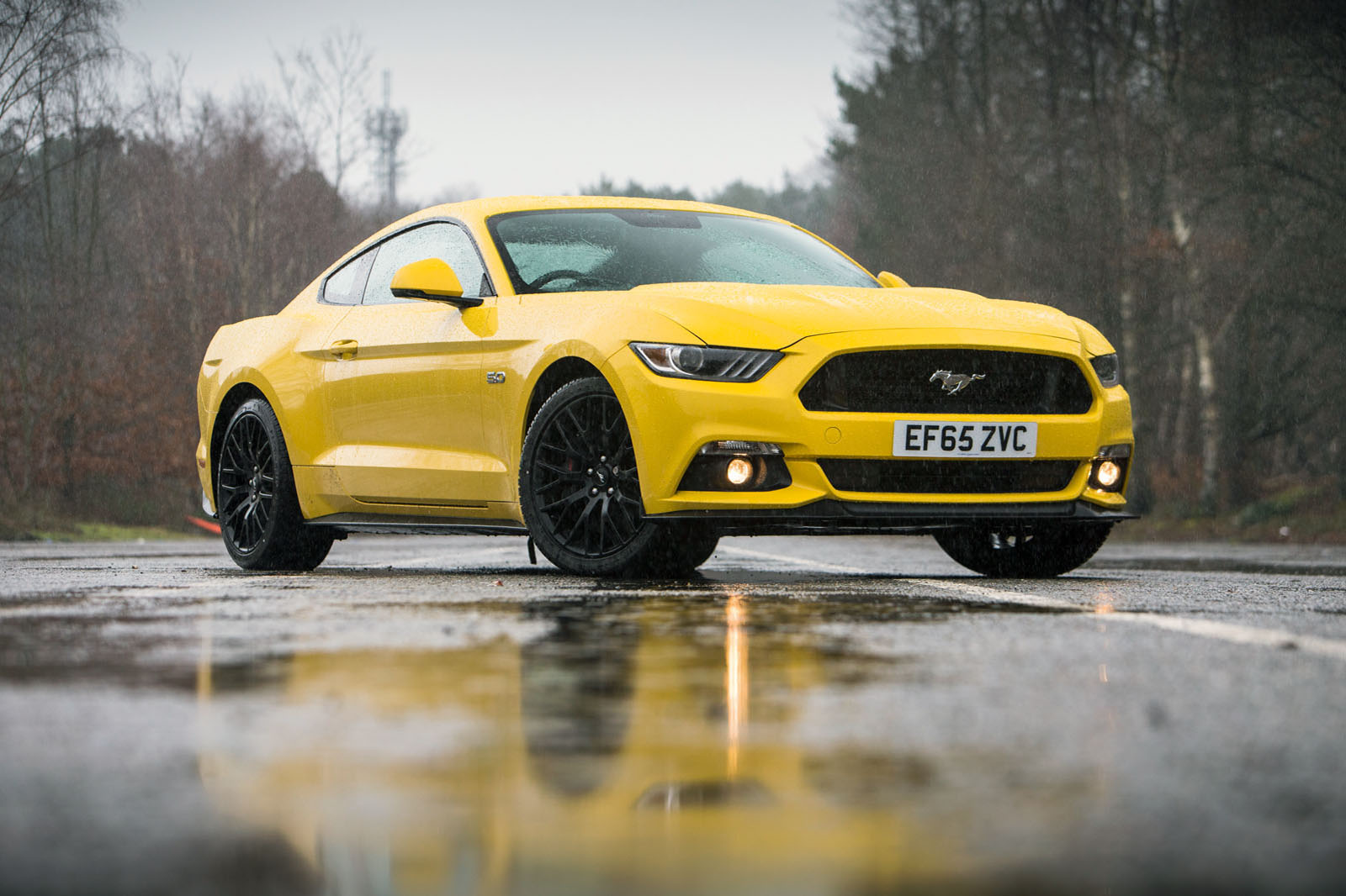 4 star Ford Mustang Fastback