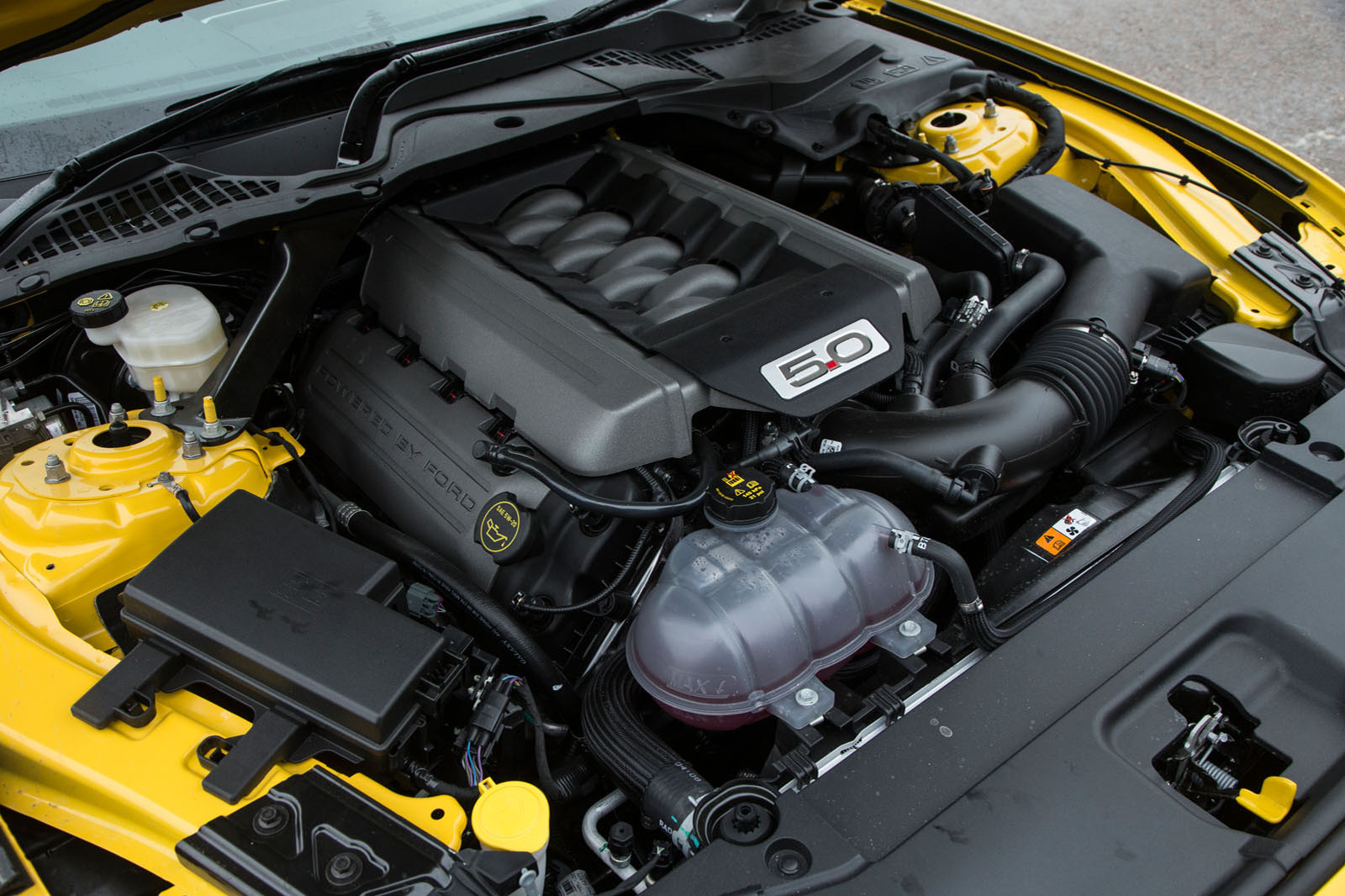 5.0-litre V8 Ford Mustang engine