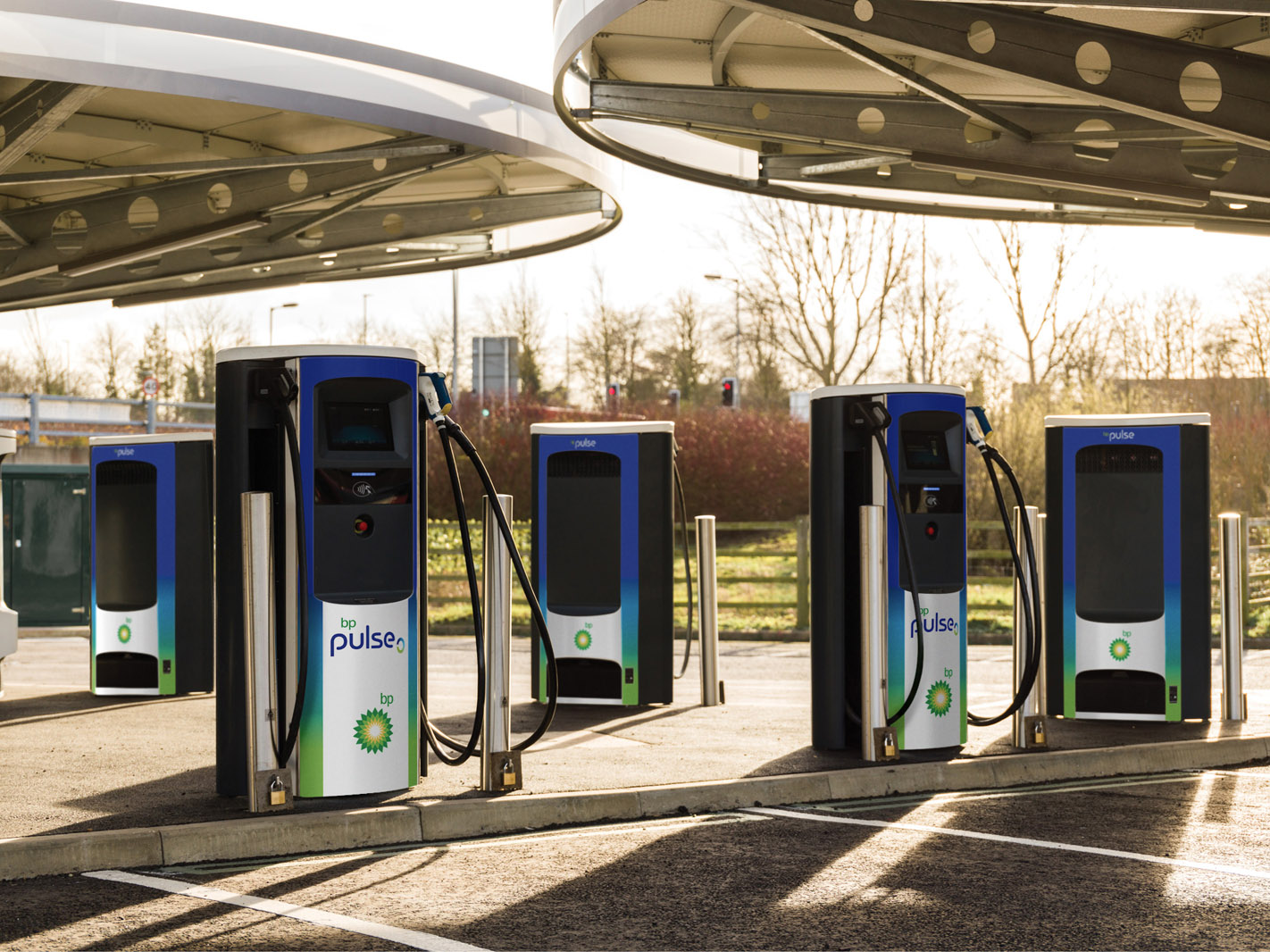 Freewire bp discount