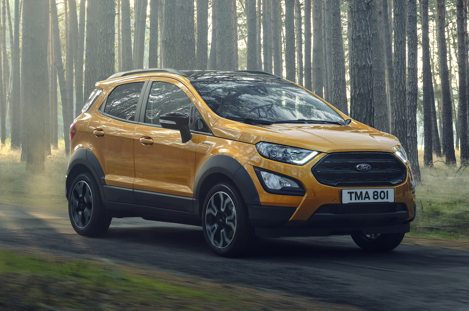 Ford clearance ecosport hybrid