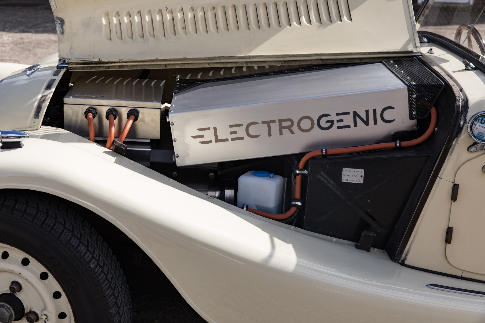 Electric triumph outlet stag