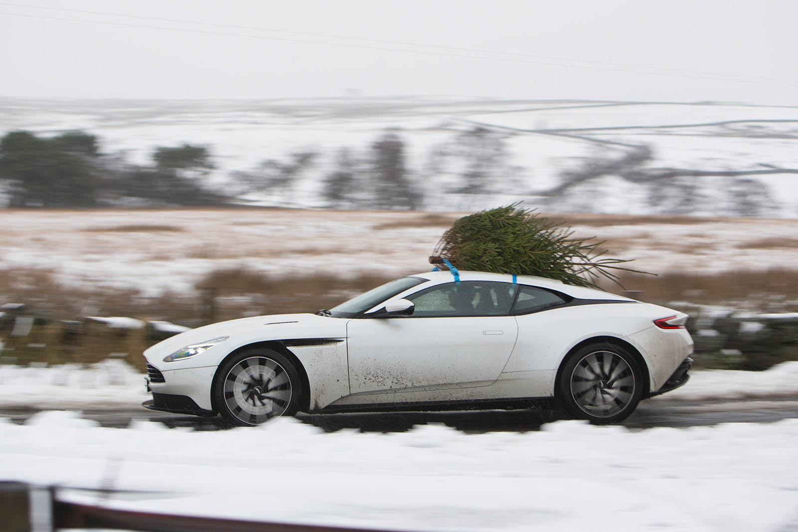 aston-xmas-tree-90 taciki.ru