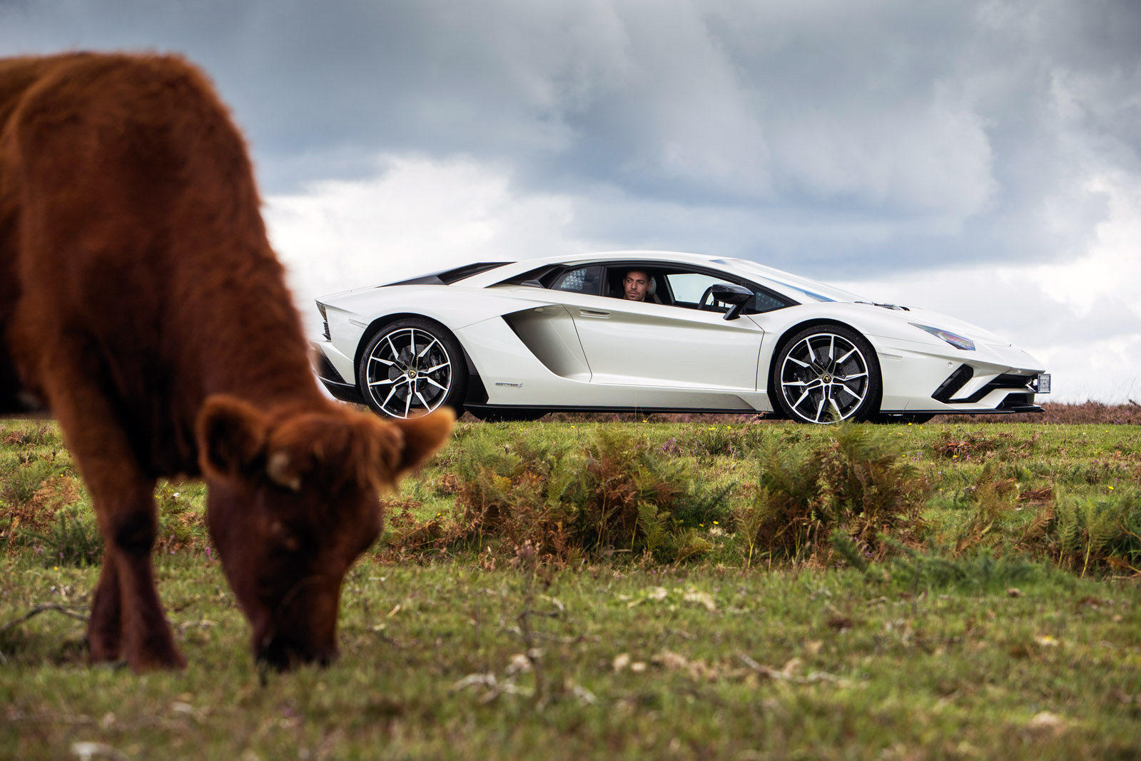 aventadors-s-0436 taciki.ru