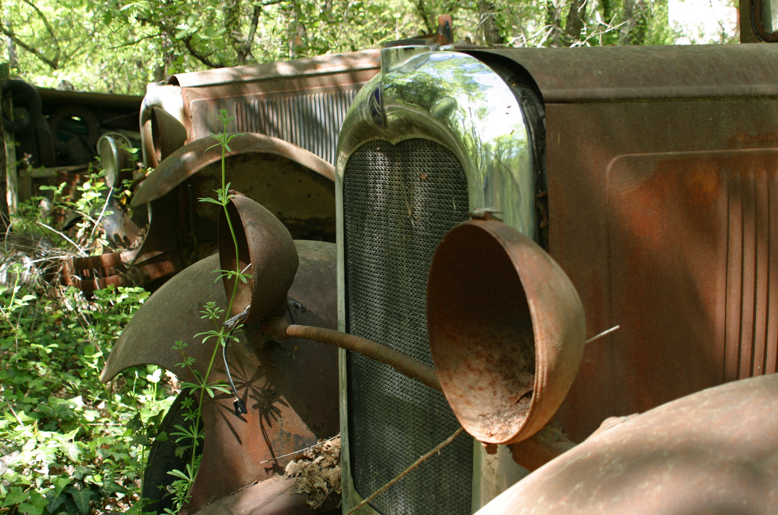 Classic wreck 5