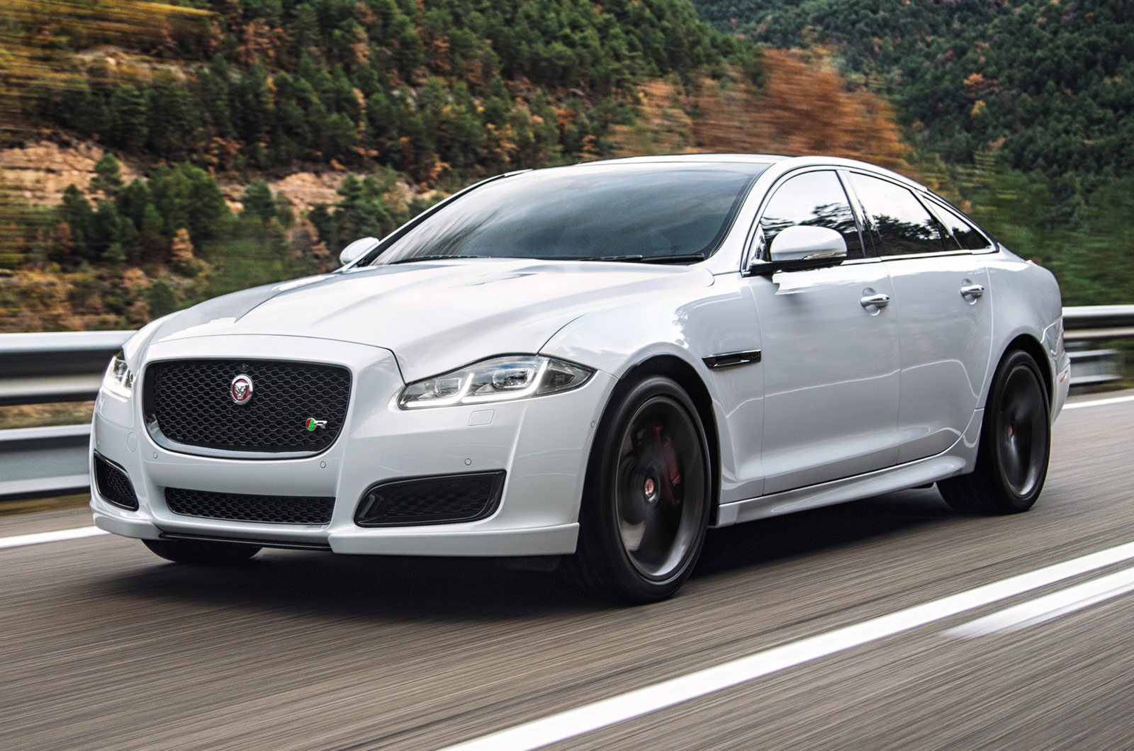 Xjr 2015 shop