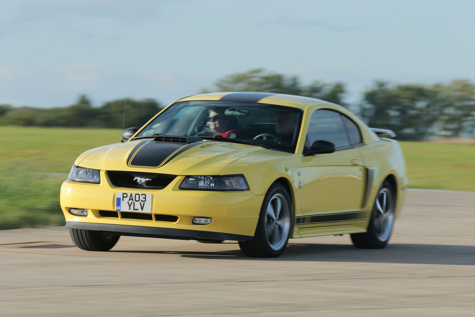 Mustang 0035