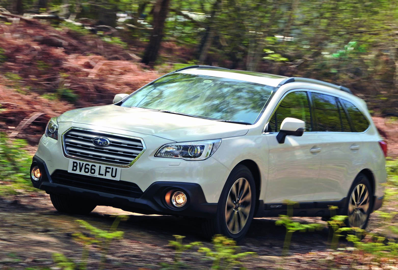 Outback 5872