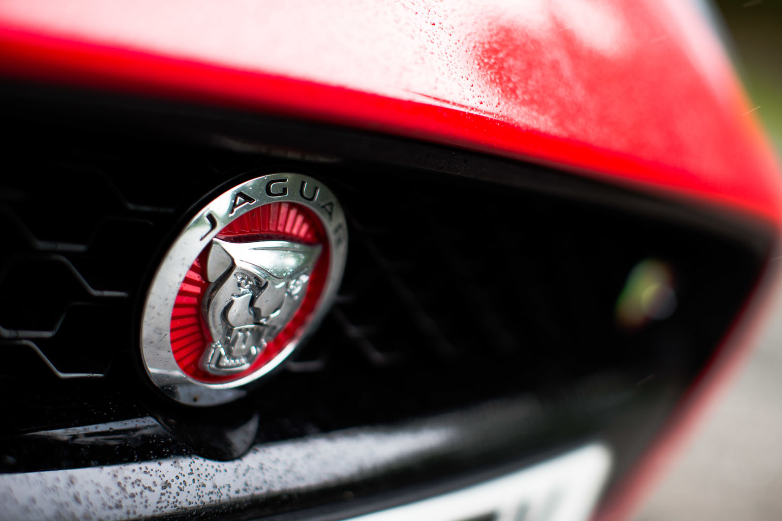 Jaguar badging