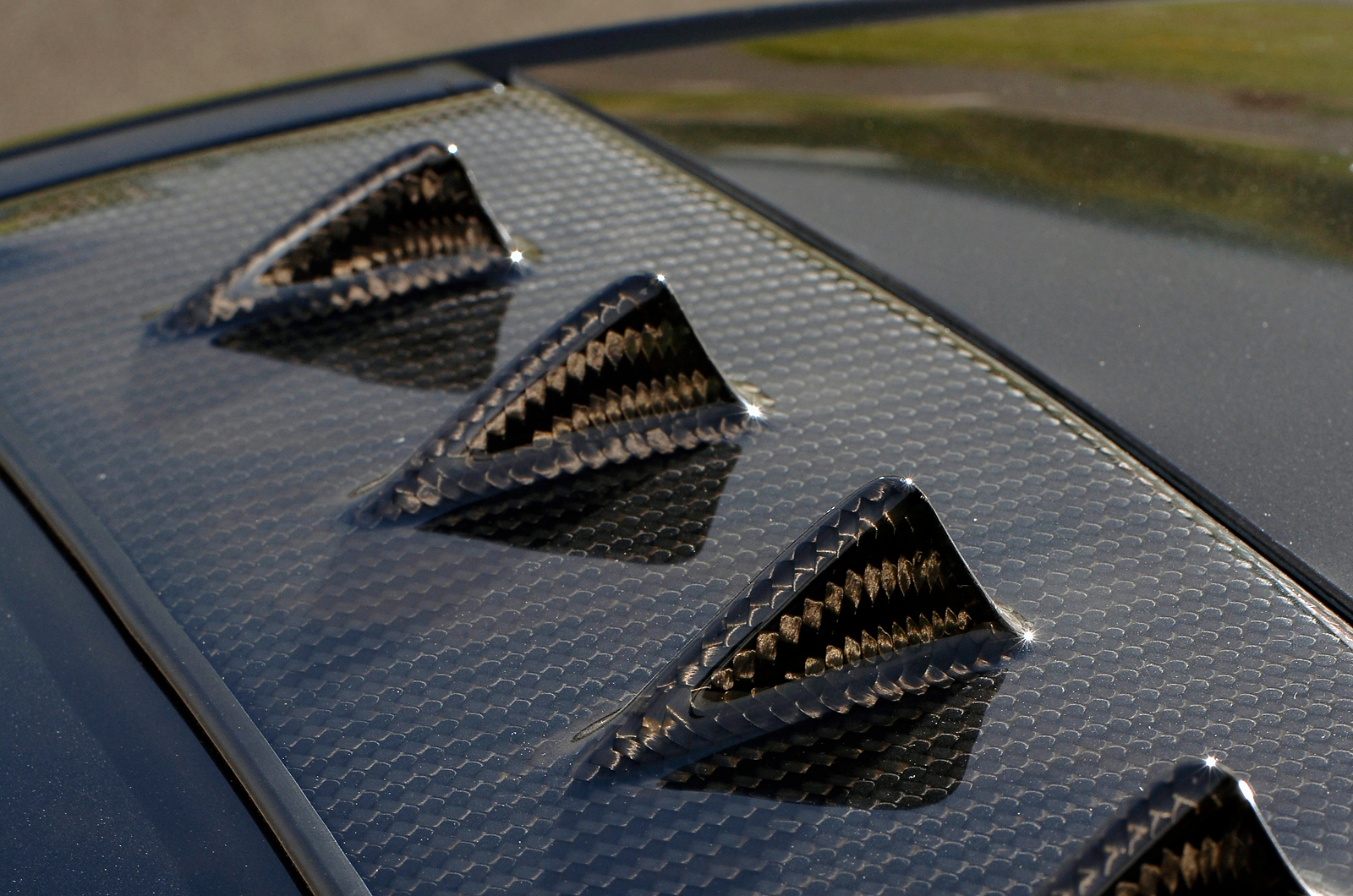 Mitsubishi Evo X rubber roof fins