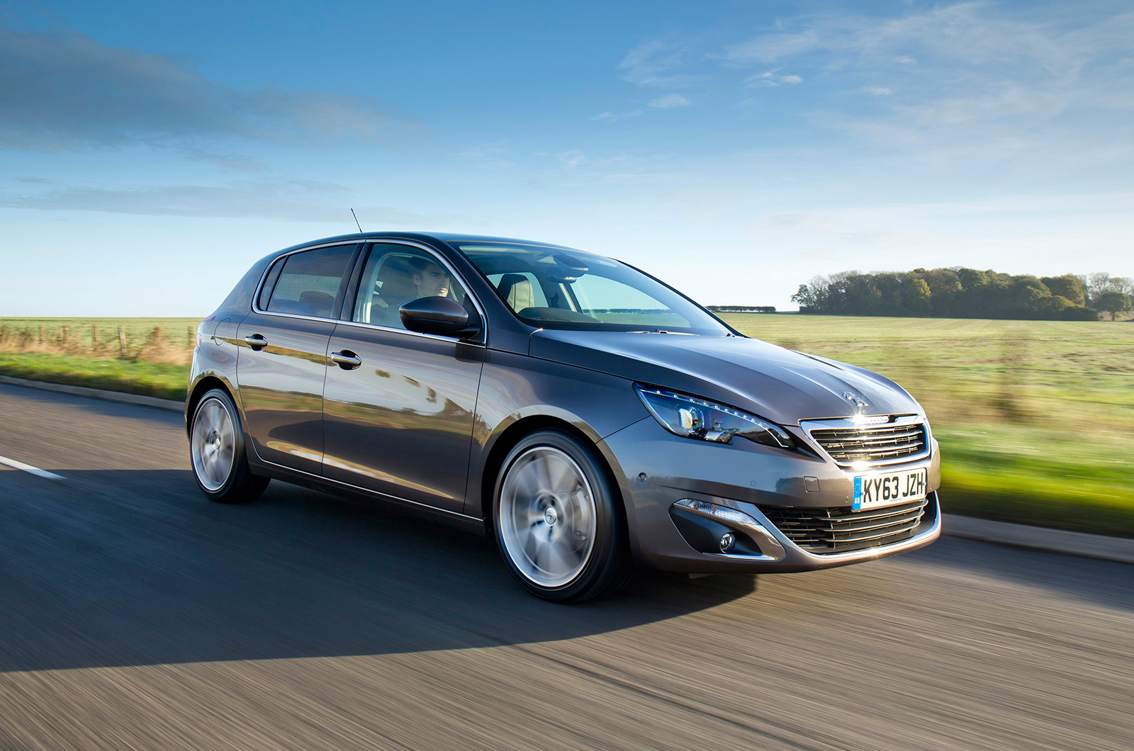 Peugeot 308 SW Access - Féline