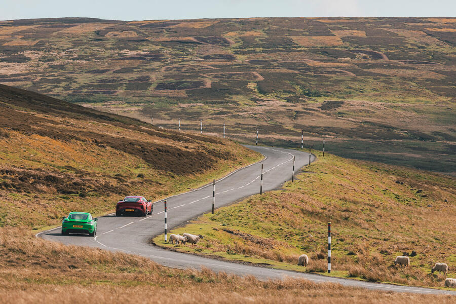 74 Porsche 718 cayman gts 40 lotus emira rear