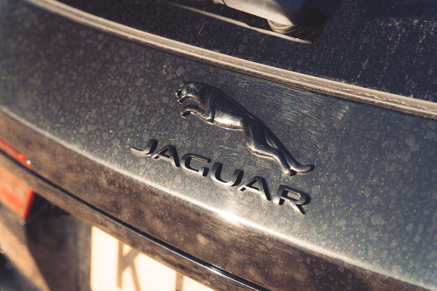 Jaguar XF Sportbrake boot badge close-up