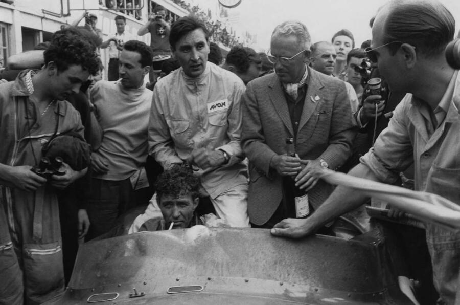 Salvadori shelby brown