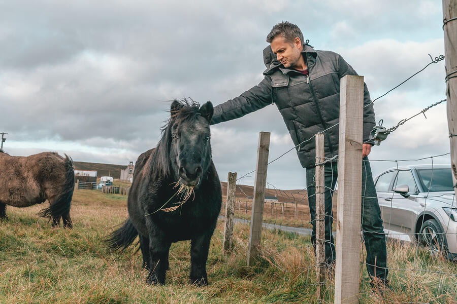Shetland pony richard webber