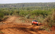 1 retro safari S11 0539 fine 1 retro safari S11 0539 fine