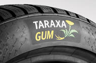 99 taraxa gum tyres 99 taraxa gum tyres