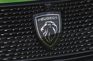 Peugeot 308 badge close up