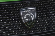 Peugeot 308 badge close up Peugeot 308 badge close up