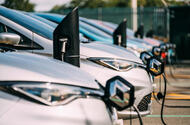 zoe line up 1