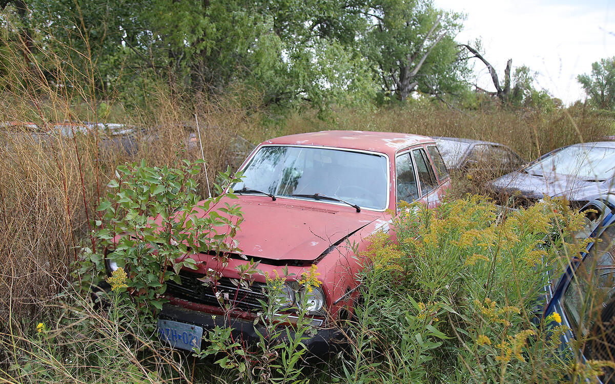 Junkyard Discoveries of Rohners Auto Parts, Willmar, Minnesota Autocar