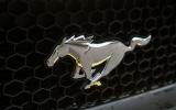 The Mustang stallion badge