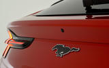 Mustang badge