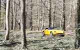 TVR Griffith in a forest