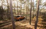 Ford Ranger Wildtrak in the woods