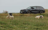 BMW i5 Touring side with sheep