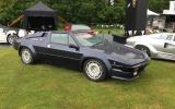Cholmondeley Pageant of Power show gallery