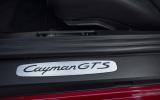 Porsche Cayman GTS kickplates