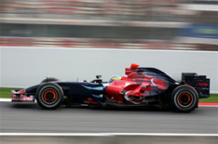 Toro Rosso for sale
