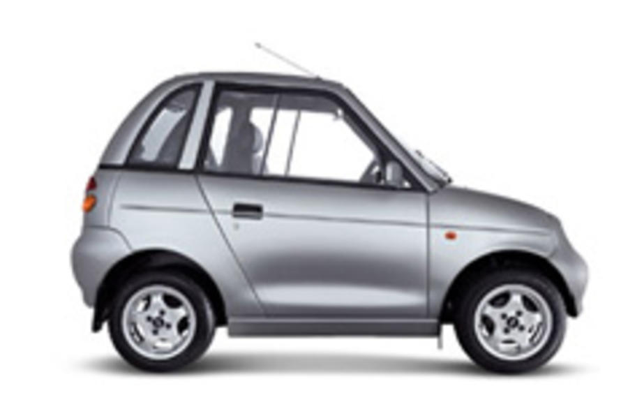 PM plans electric car subsidy