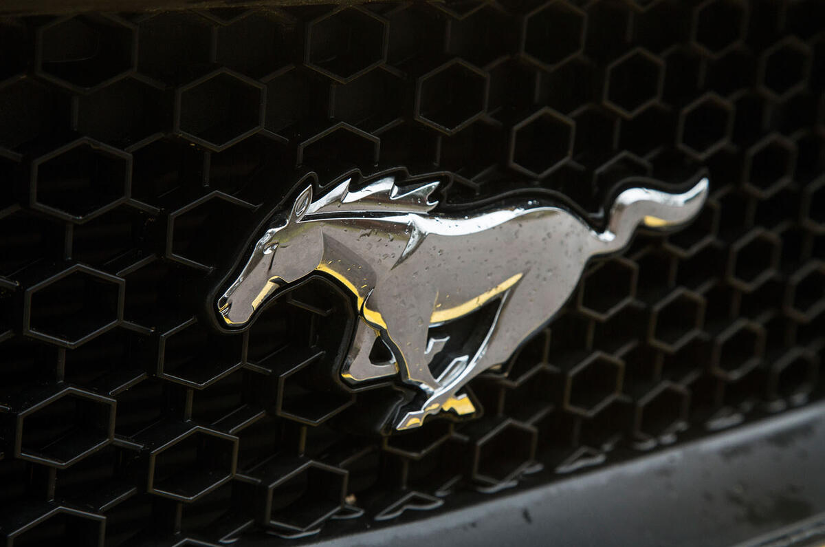 The Mustang stallion badge