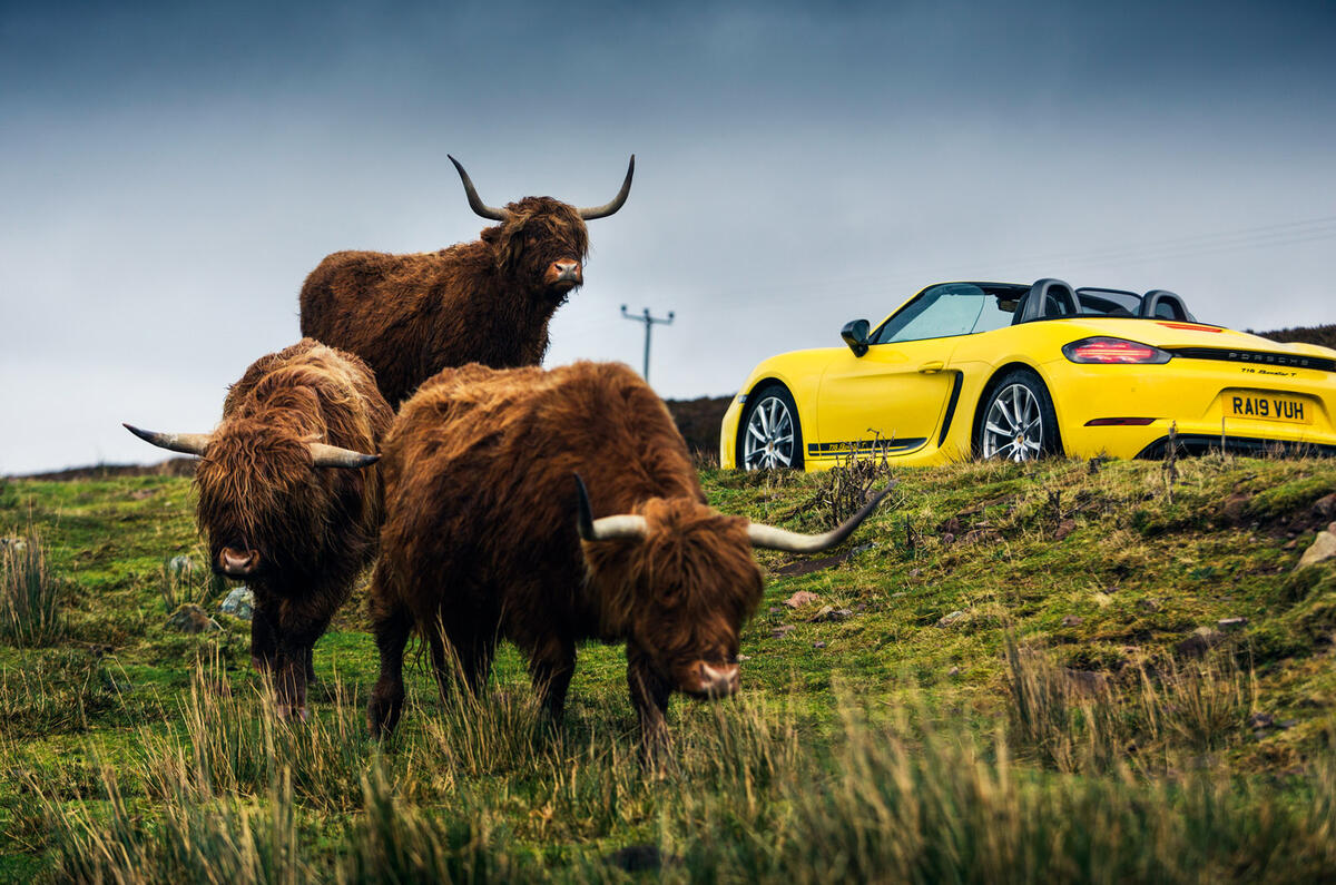 [Image: 18-porsche-boxster-t-2019-static-rear.jpg?itok=uwLBD-XC]