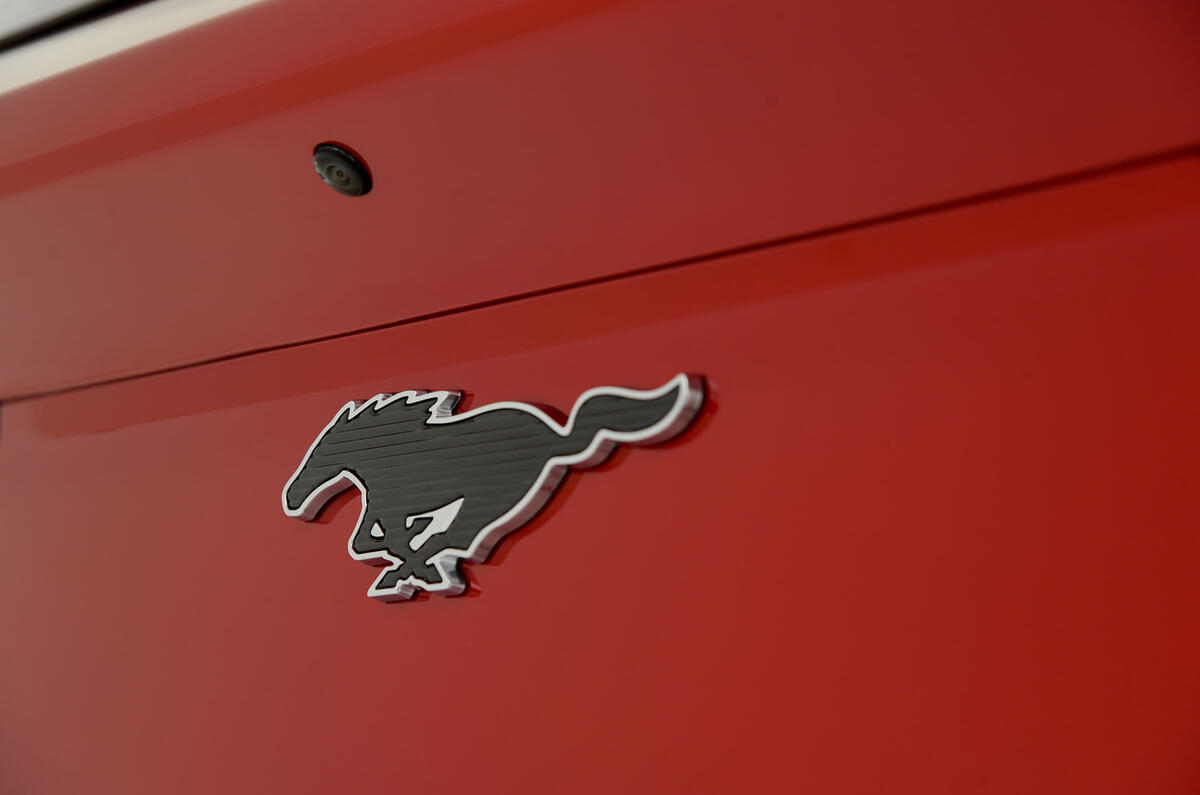 Mustang Mach-E 18