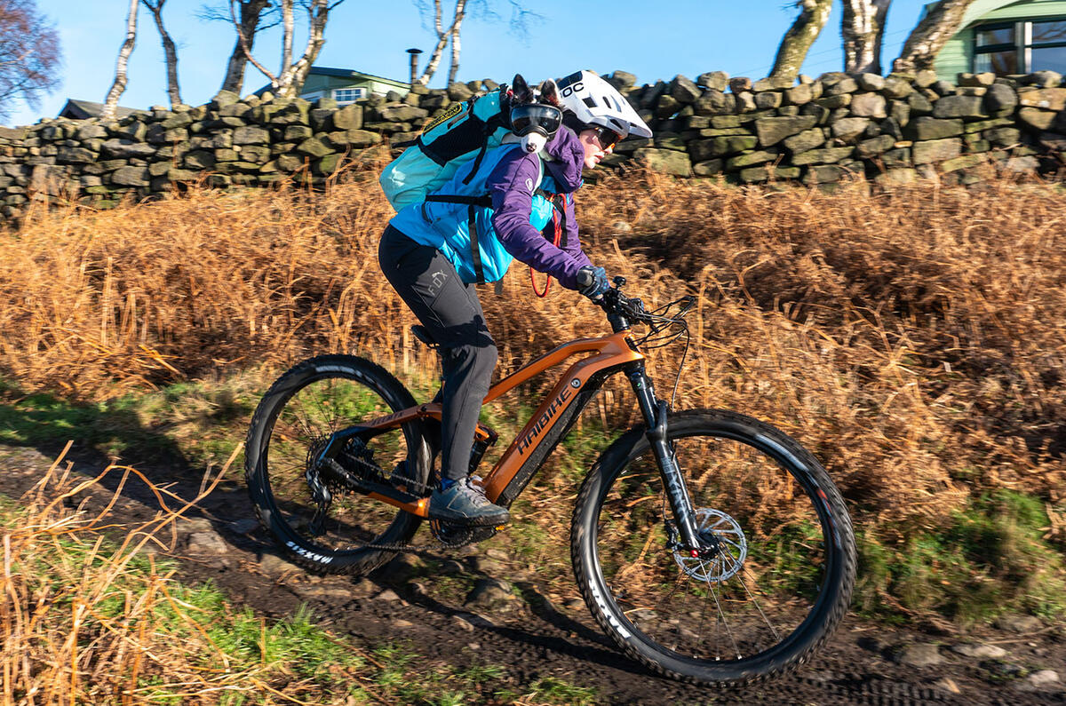 Haibike allmtn on sale 6 2021 review