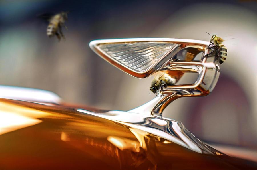 Bentley has harvested its first honey from two hives at Crewe