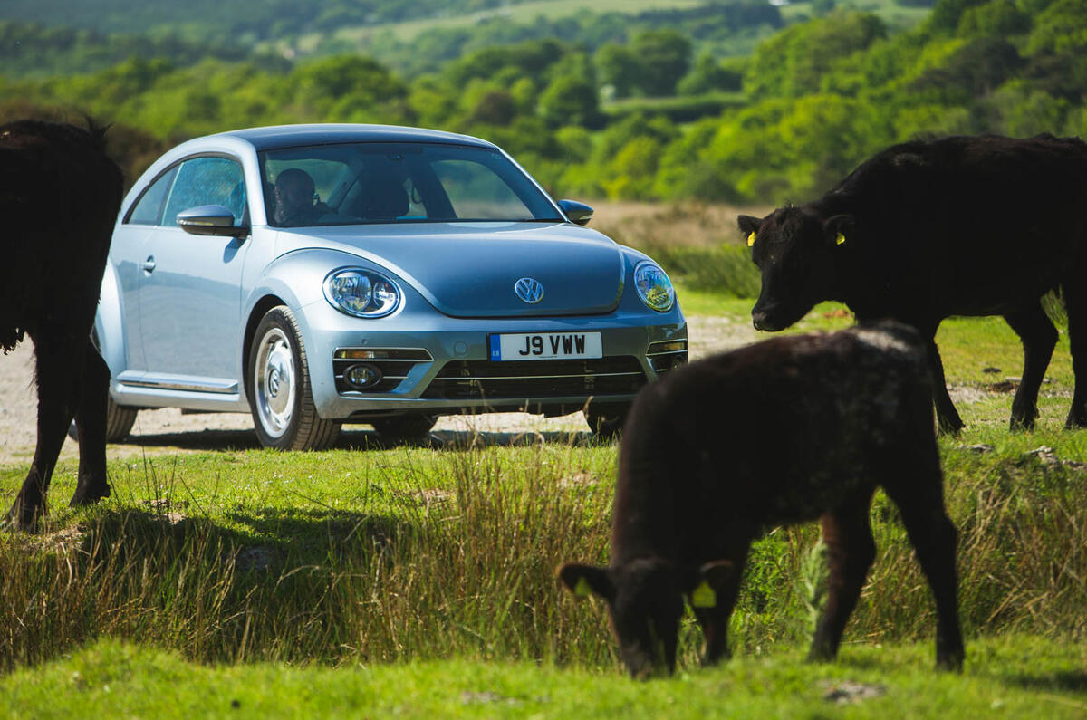 Volkswagen Beetle