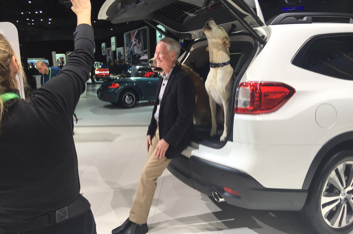 Subaru Ascent dog
