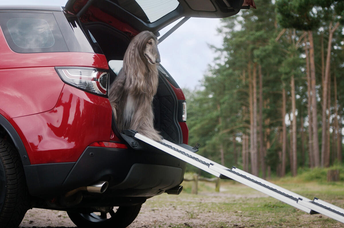 Pet Ramp For Car >> Land Rover Pet Packs revealed as official accessories ... Pet Ramp For Car >> Land Rover Pet Packs revealed as official accessories ...