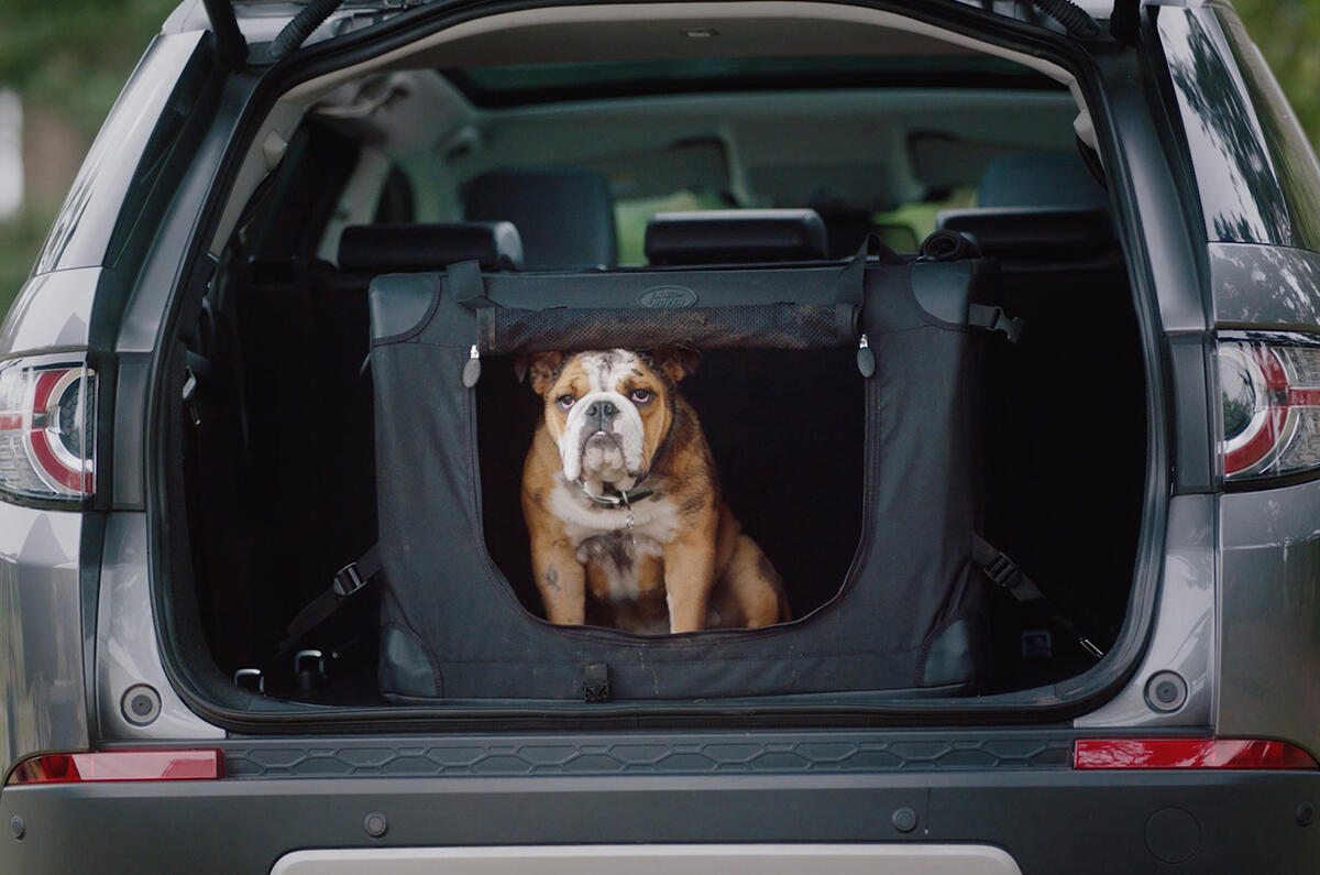Range rover sport dog accessories online