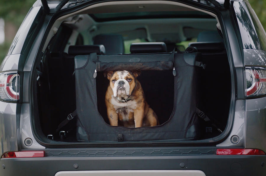 Land Rover Pet Packs revealed as official accessories
