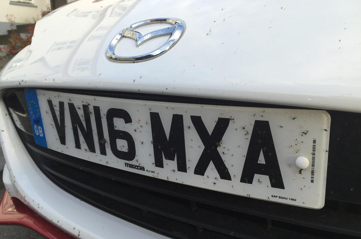 Mx 526