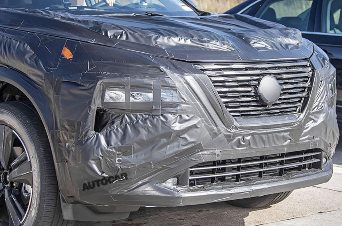 Rogue grille close up