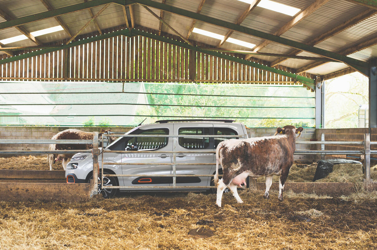Citroen Berlingo 2019 long-term review - cowshed side
